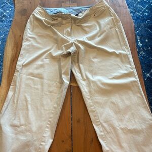 Venezia pants 16 petite